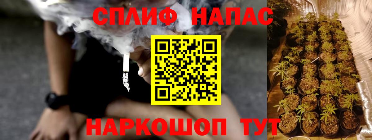 Шишки марихуана сатива Сосновоборск